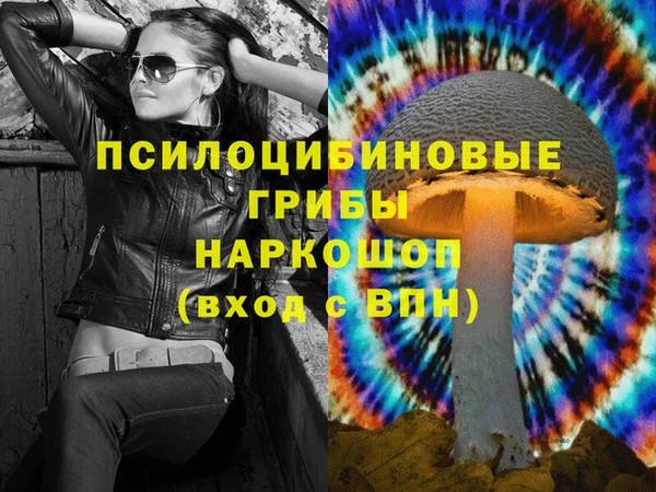 соль ск Волосово