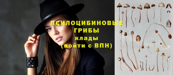 соль ск Волосово