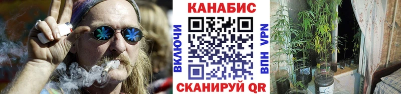 Купить где  Белорецк  Бошки Шишки VHQ 